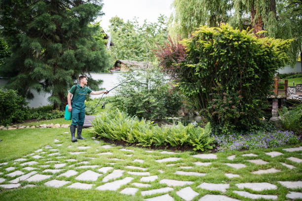 Best Best Pest Control Companies  in Connelly Springs, NC