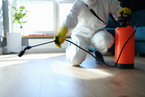 Best Local Pest Control Services  in Connelly Springs, NC