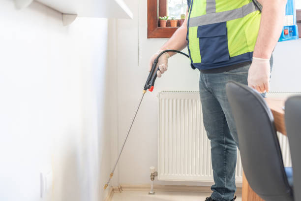 Best Residential Pest Control  in Connelly Springs, NC