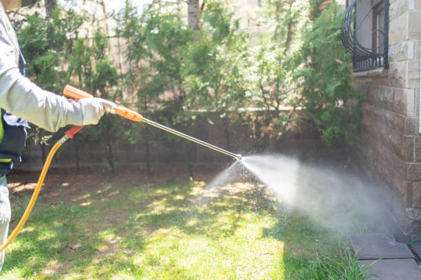 Best Affordable Pest Control Services  in Connelly Springs, NC
