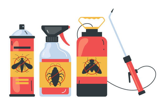 Best Bed Bug Extermination  in Connelly Springs, NC