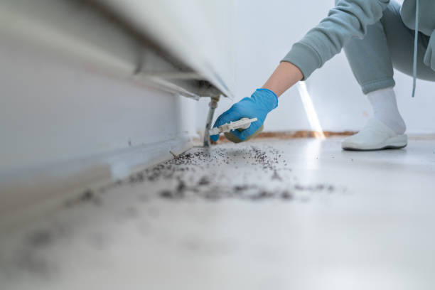 Best Commercial Pest Control Services  in Connelly Springs, NC