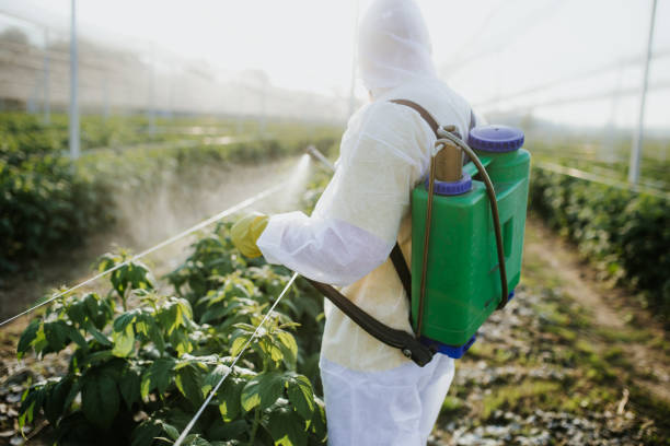 Best Pest Control Near Me  in Connelly Springs, NC